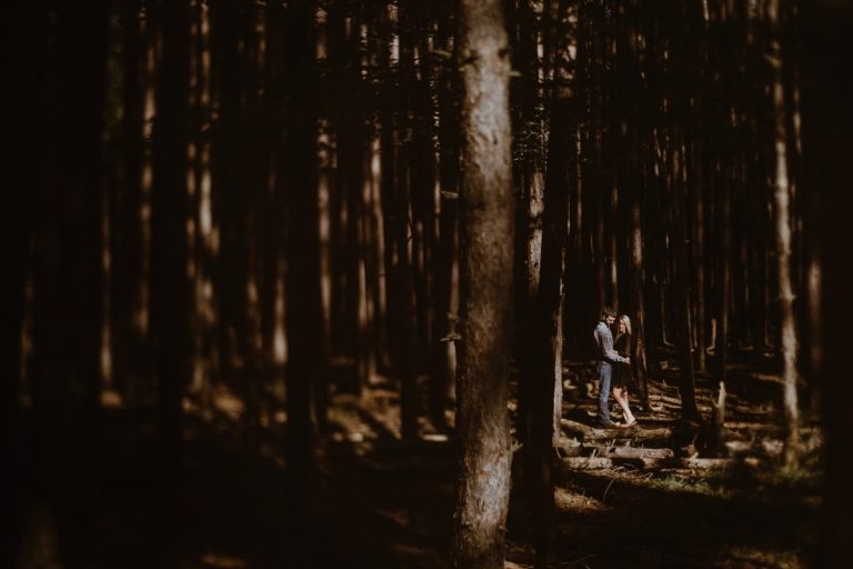 cook forest engagement session